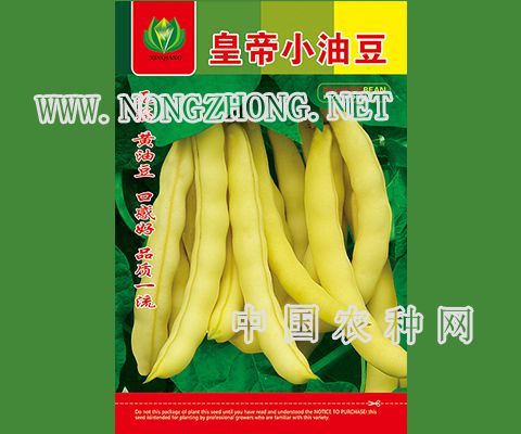 皇帝小油豆